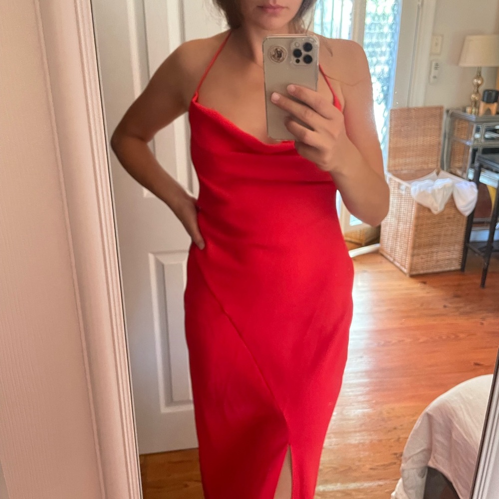 Stunning, sleek Cushnie dress